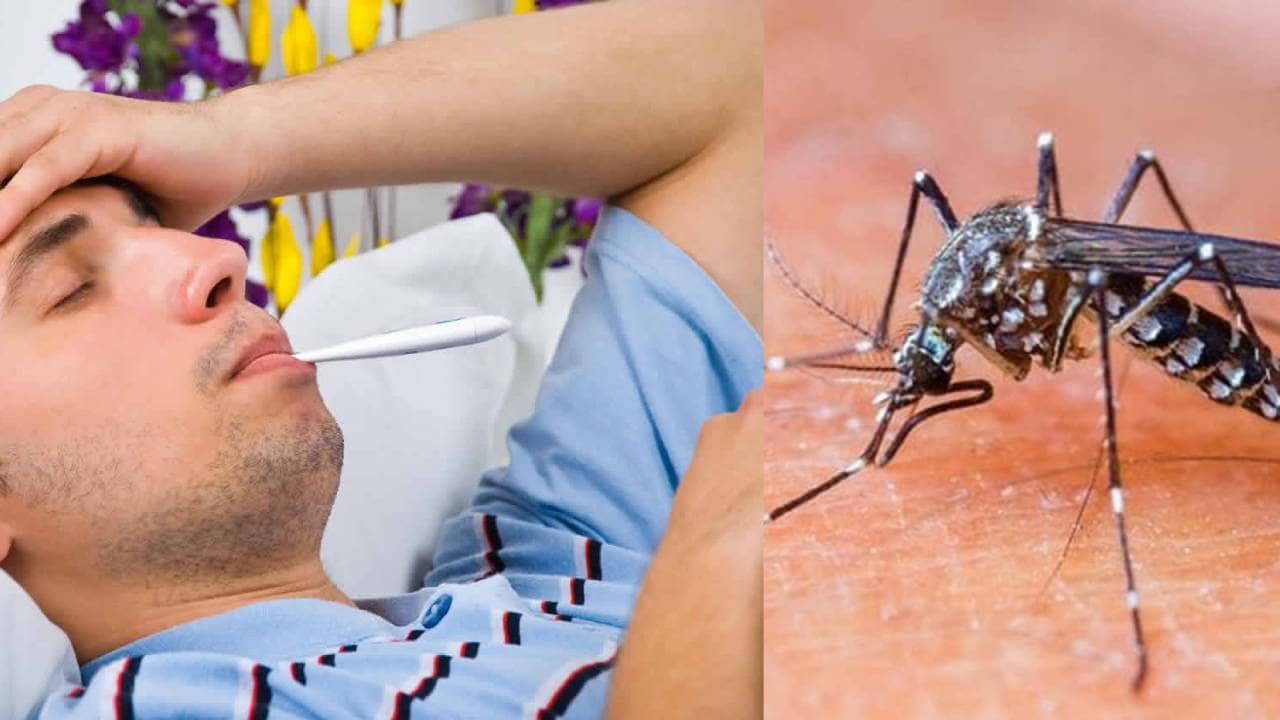Dengue, Malaria & Typhoid